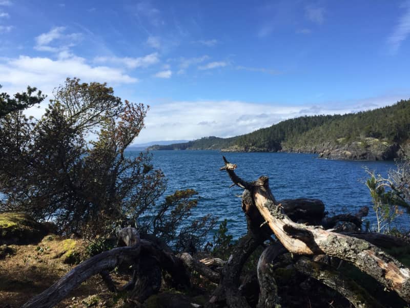 Housesitting assignment in Langford, British Columbia, Canada