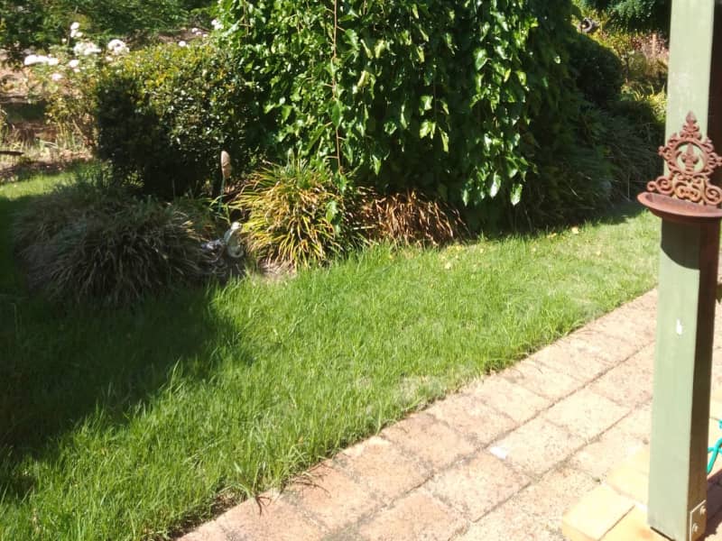 Housesitting assignment in Nannup, Western Australia, Australia