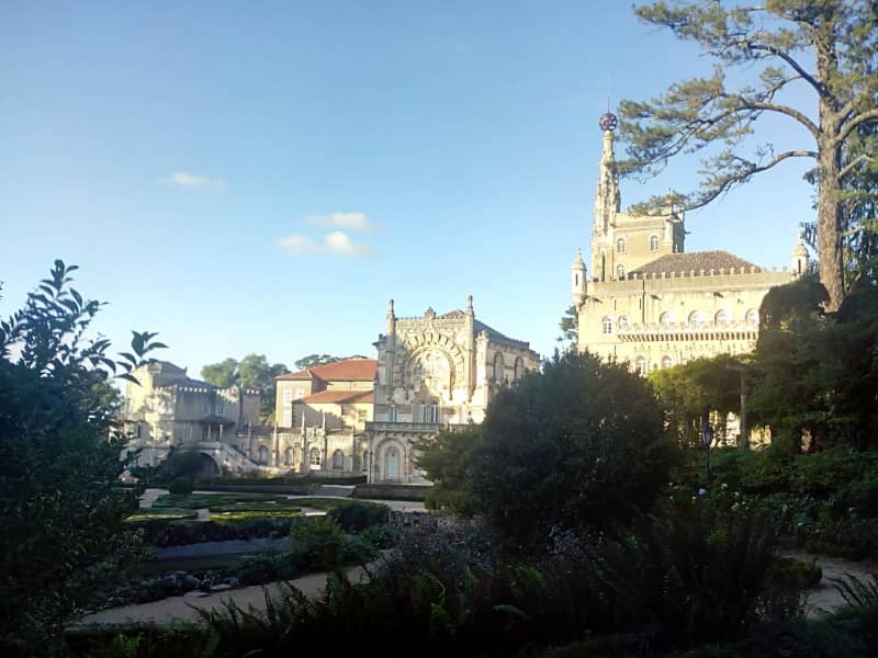Housesitting assignment in Santa Comba Dão, Portugal