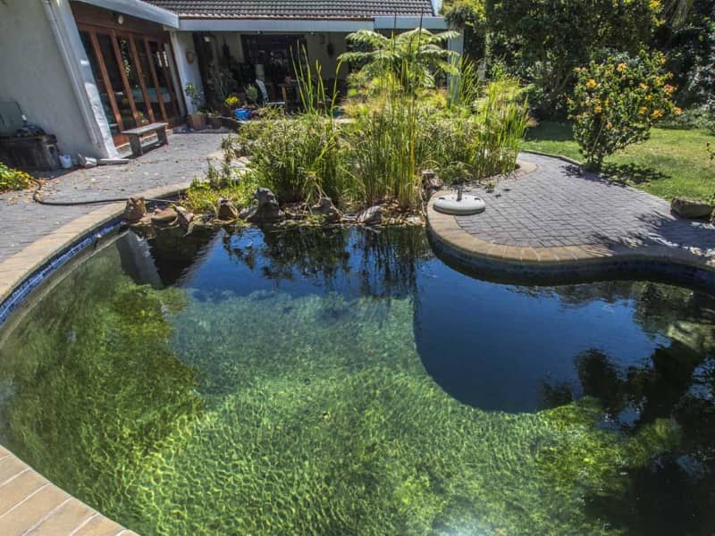 Housesitting assignment in Cape Town, South Africa