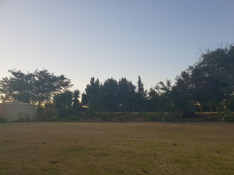 Housesitting assignment in Kingaroy, Queensland, Australia