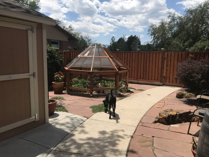Housesitting assignment in Colorado Springs, Colorado, United States