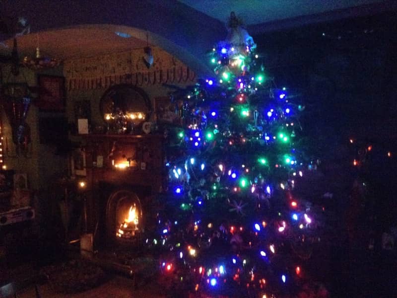 Housesitting assignment in Kemnay, United Kingdom