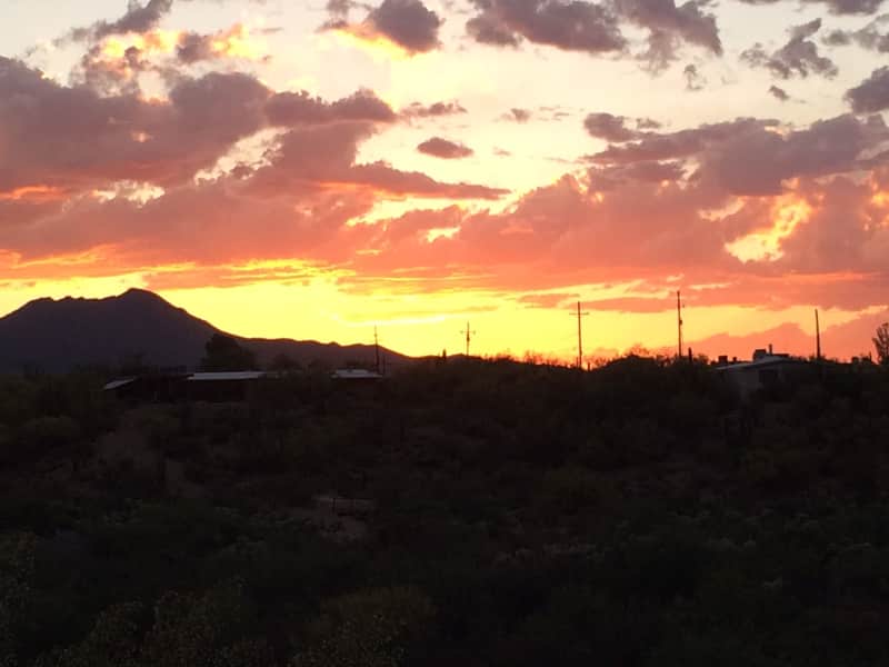 Housesitting assignment in Tucson, Arizona, United States