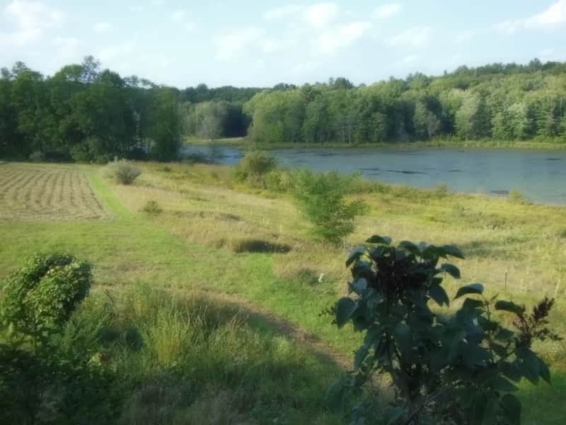 Housesitting assignment in Woodstock, Connecticut, United States