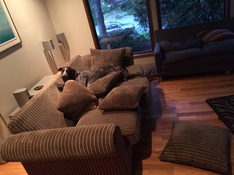Housesitting assignment in Delta, British Columbia, Canada