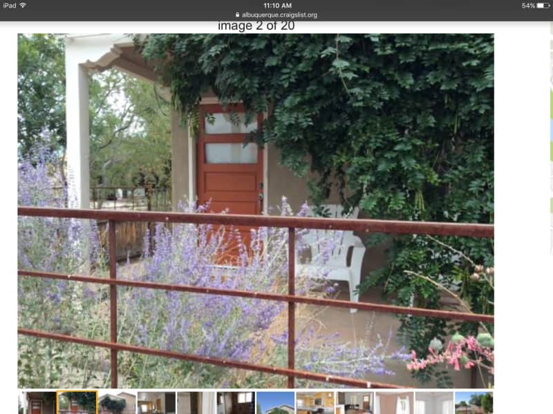 Housesitting assignment in Albuquerque, New Mexico, United States