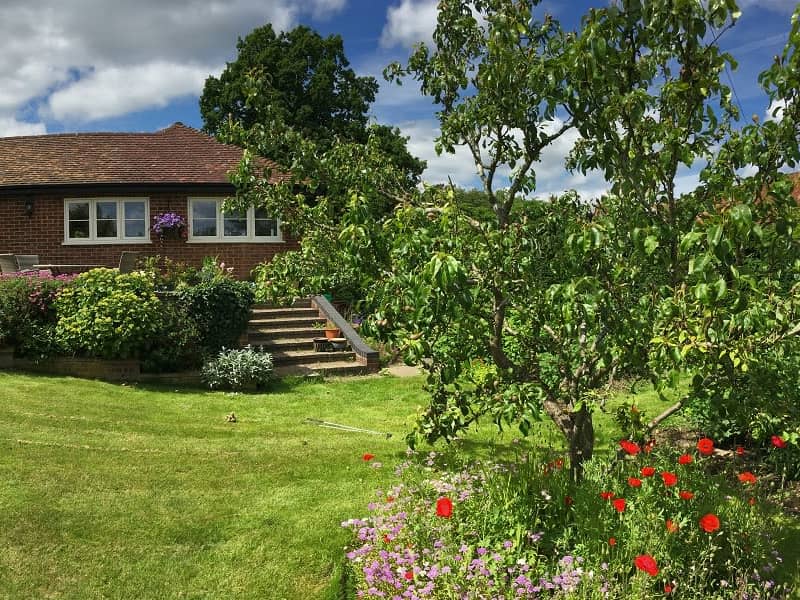 Housesitting assignment in Bledlow, United Kingdom