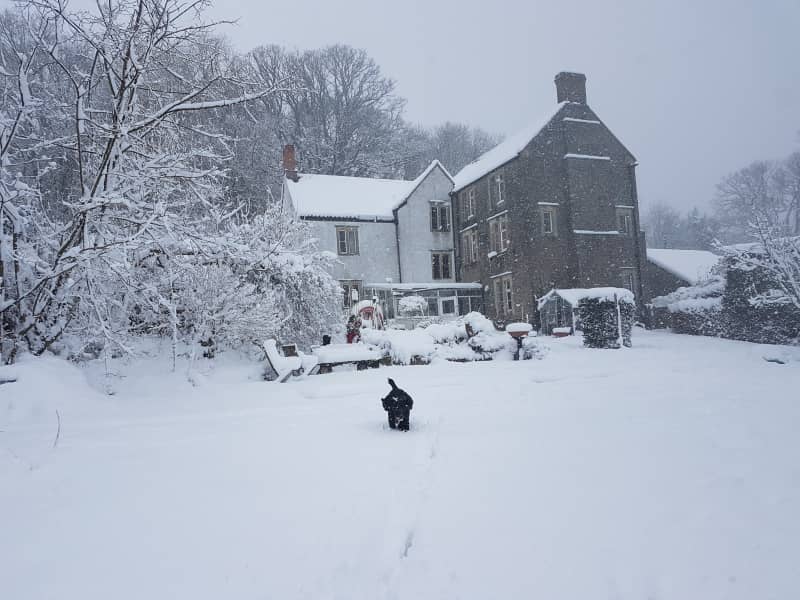 Housesitting assignment in Temple Cloud, United Kingdom