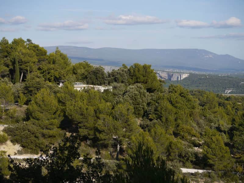 Housesitting assignment in Joucas, France