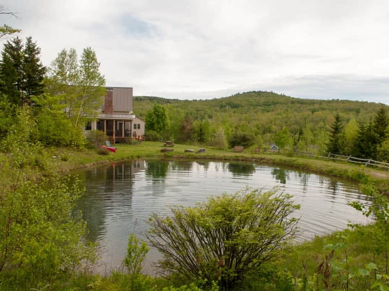 Housesitting assignment in West Dover, Vermont, United States
