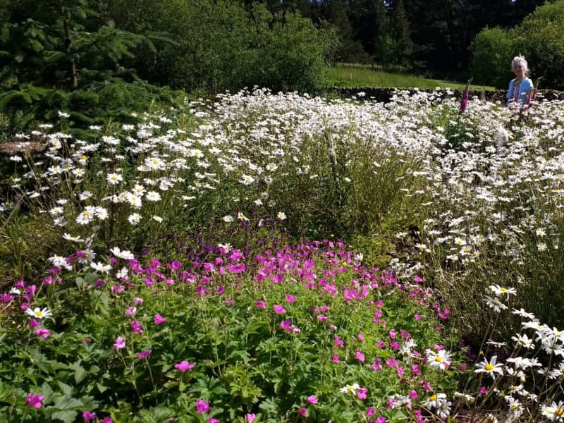 Housesitting assignment in Hawick, United Kingdom
