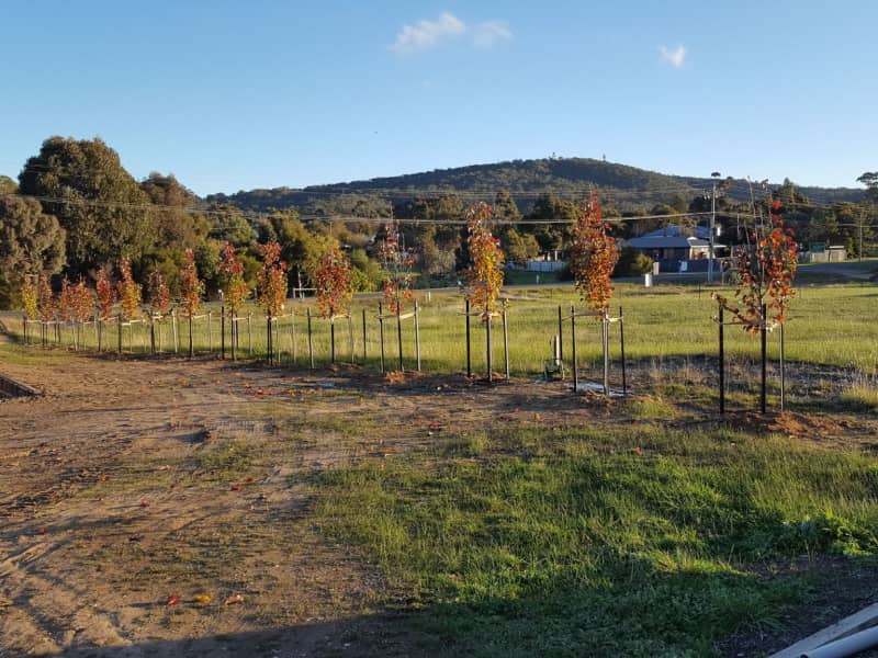 Housesitting assignment in Maldon, Victoria, Australia