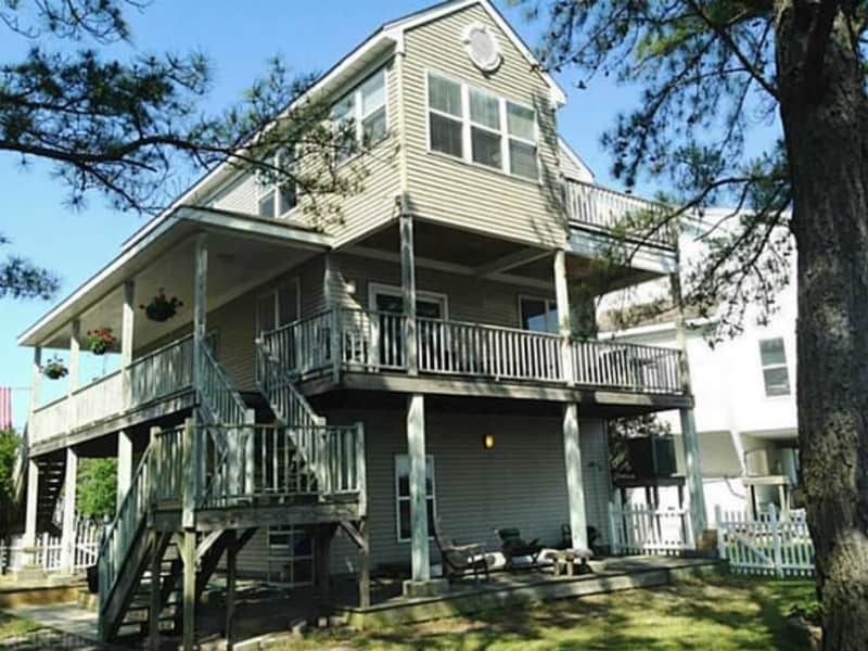 Housesitting assignment in Norfolk, Virginia, United States