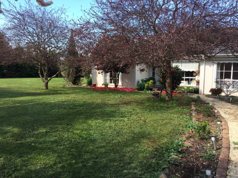 Housesitting assignment in Launceston, Tasmania, Australia