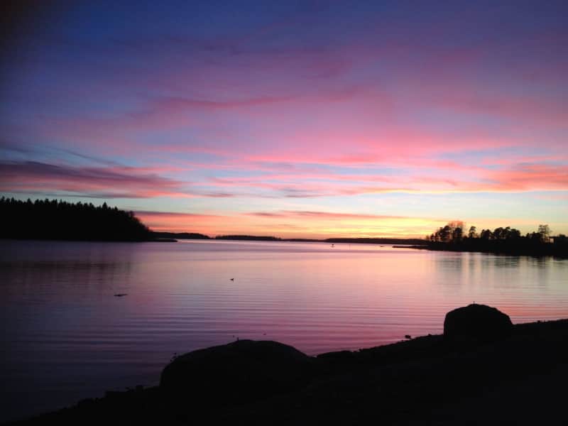 Housesitting assignment in Espoo, Finland