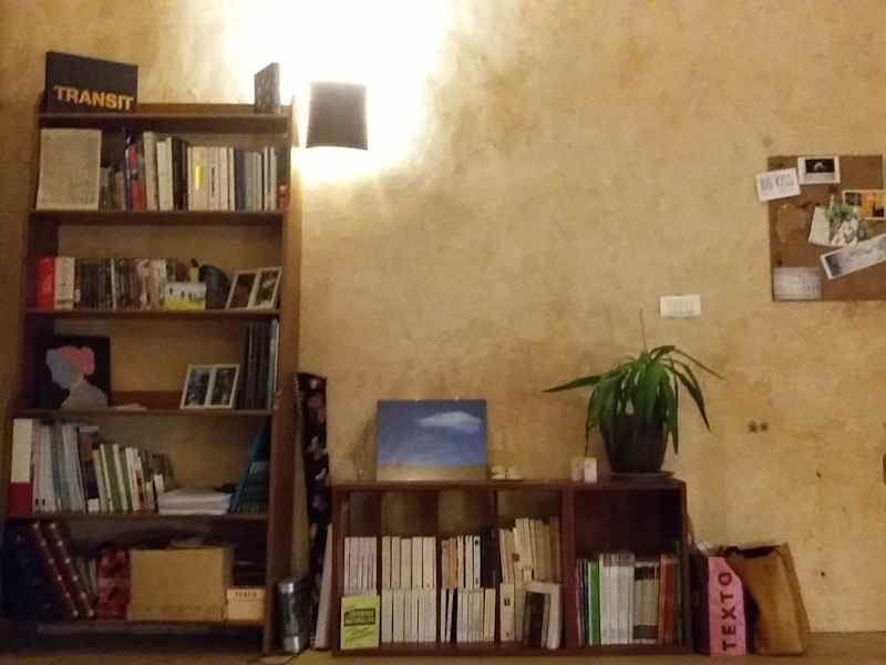 Housesitting assignment in Montpellier, France