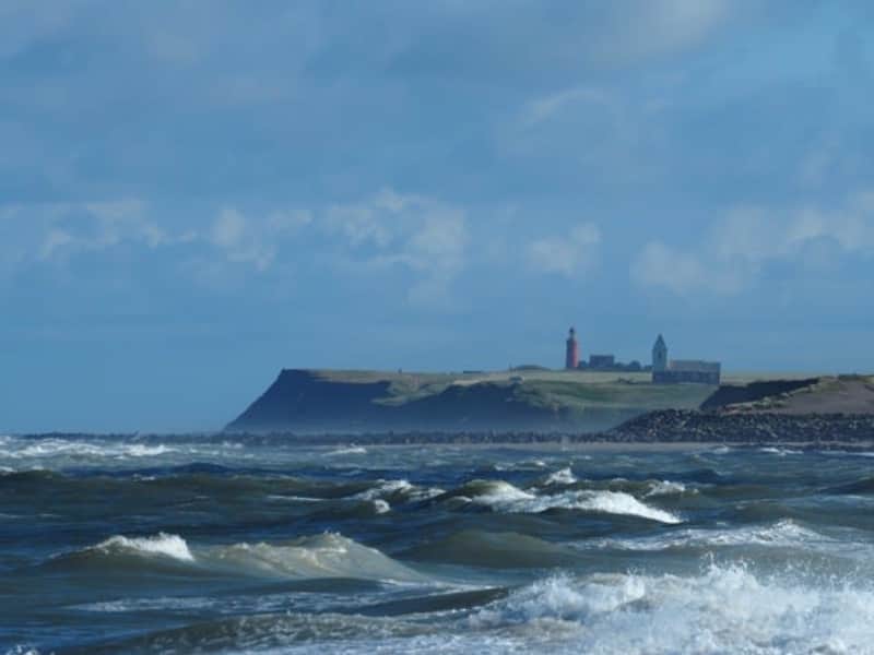 Housesitting assignment in Fjaltring, Denmark