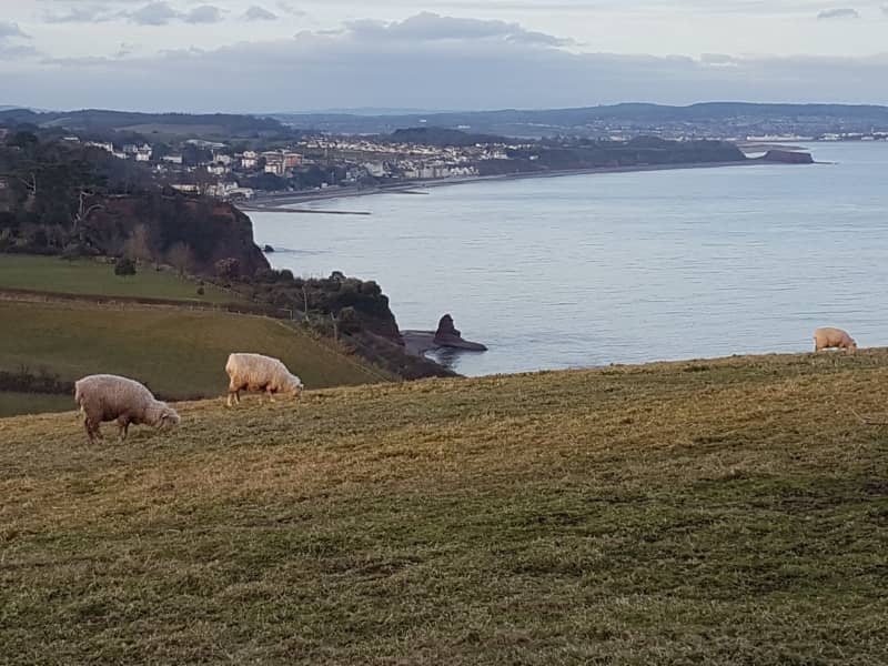Housesitting assignment in Dawlish, United Kingdom
