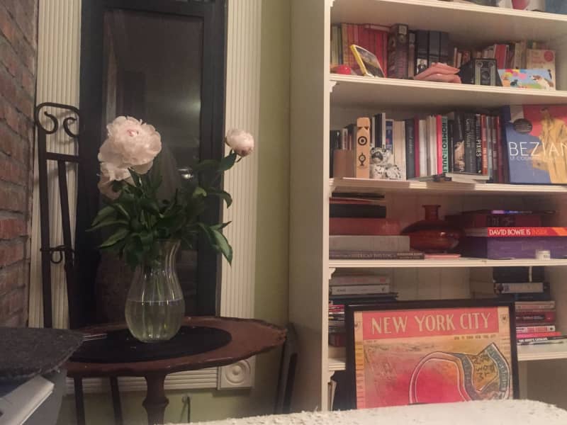 Housesitting assignment in Manhattan, New York, United States