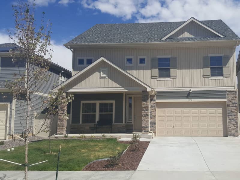 Housesitting assignment in Denver, Colorado, United States