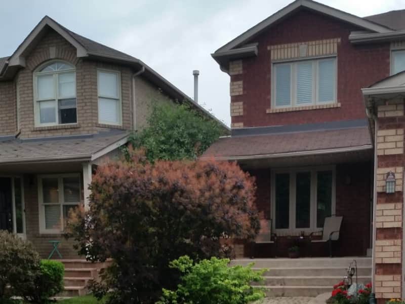 Housesitting assignment in Georgetown, Ontario, Canada