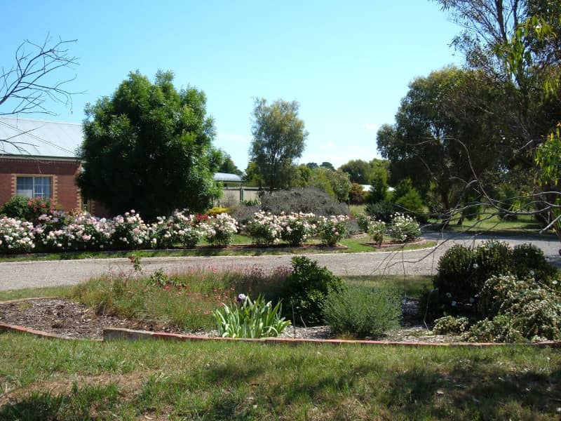 Housesitting assignment in Torquay, Victoria, Australia