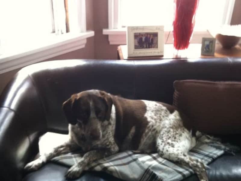 Housesitting assignment in Halifax, Nova Scotia, Canada