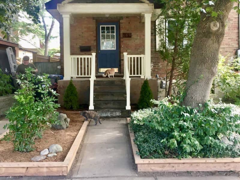Housesitting assignment in University of Guelph, Ontario, Canada