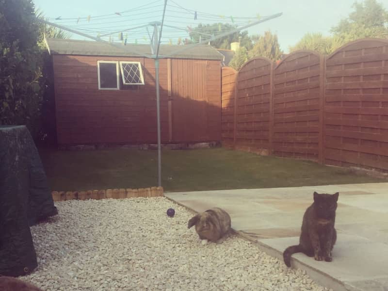 Housesitting assignment in Saint Peter Port, Guernsey