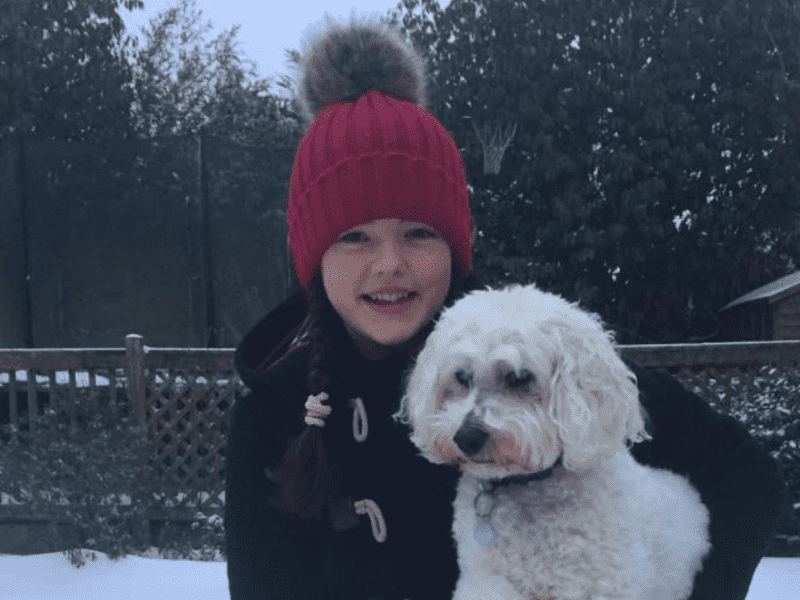 Housesitting assignment in Cardiff, United Kingdom