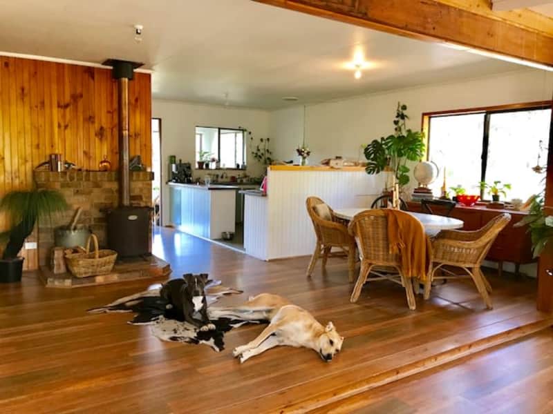 Housesitting assignment in Wingello, New South Wales, Australia