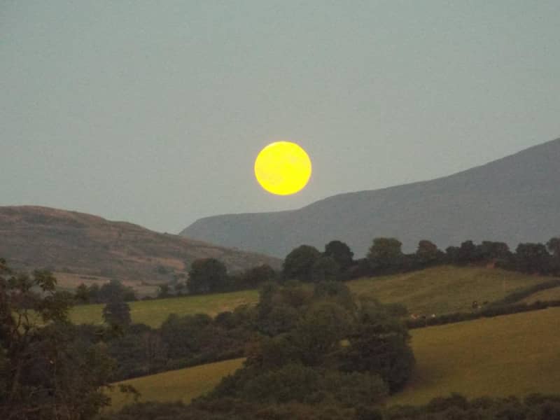 Housesitting assignment in Banbridge, United Kingdom