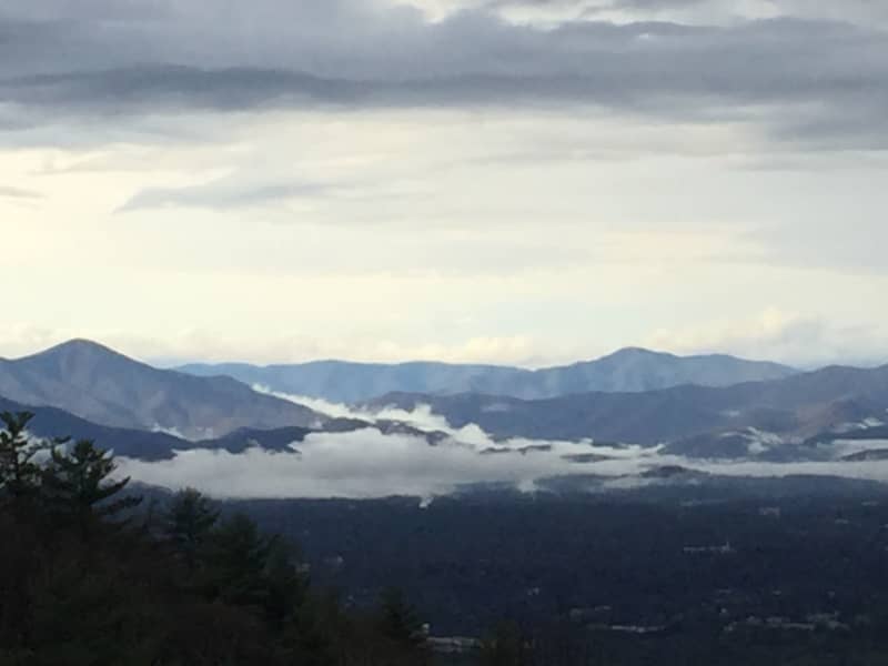 Housesitting assignment in Asheville, North Carolina, United States