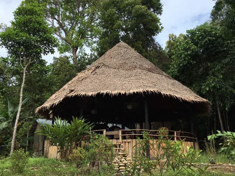 Housesitting assignment in Kuching, Malaysia