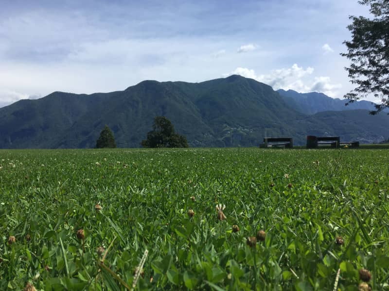 Housesitting assignment in Lugano, Switzerland