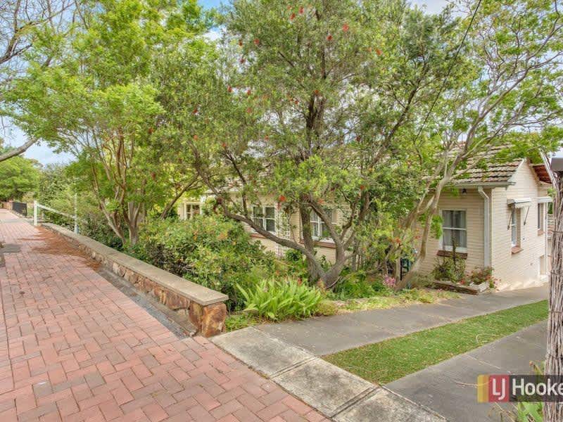 Housesitting assignment in Glen Osmond, South Australia, Australia
