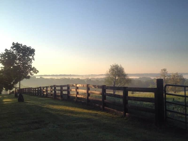 Housesitting assignment in Bowling Green, Kentucky, United States
