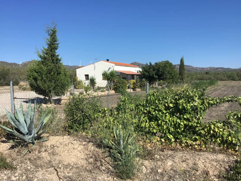 Housesitting assignment in Móra d'Ebre, Spain