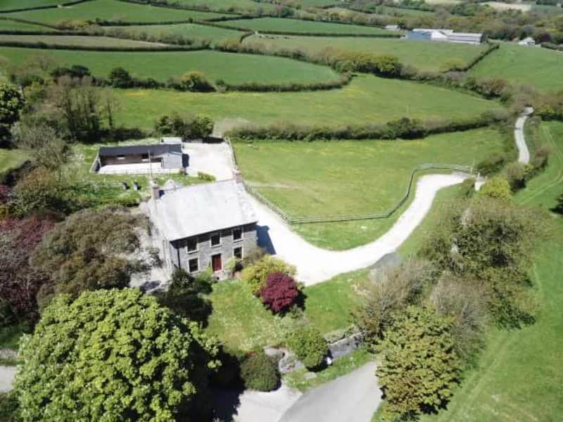Housesitting assignment in Wadebridge, United Kingdom