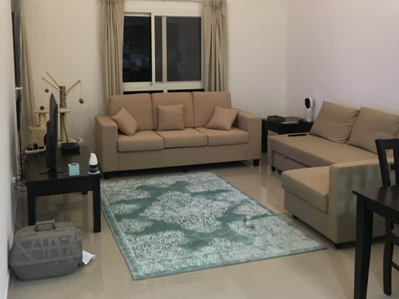 Housesitting assignment in Dubai, United Arab Emirates