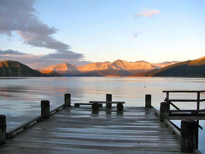 Housesitting assignment in Havelock, New Zealand