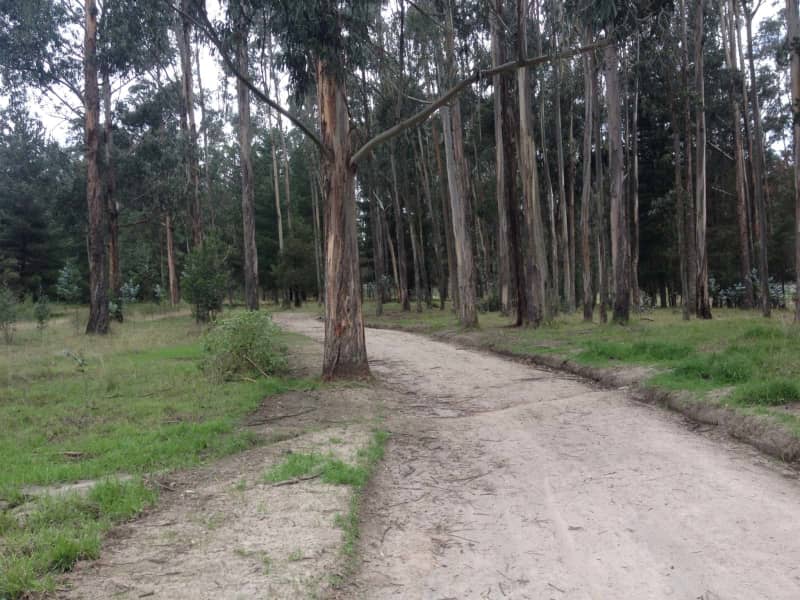 Housesitting assignment in Quito, Ecuador