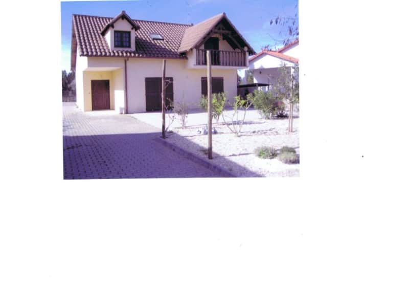 Housesitting assignment in Leiria, Portugal