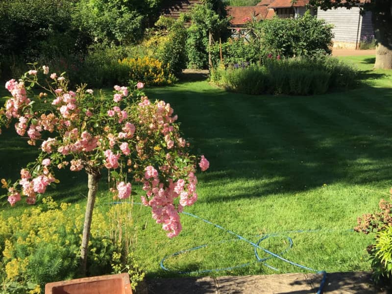 Housesitting assignment in Petworth, United Kingdom