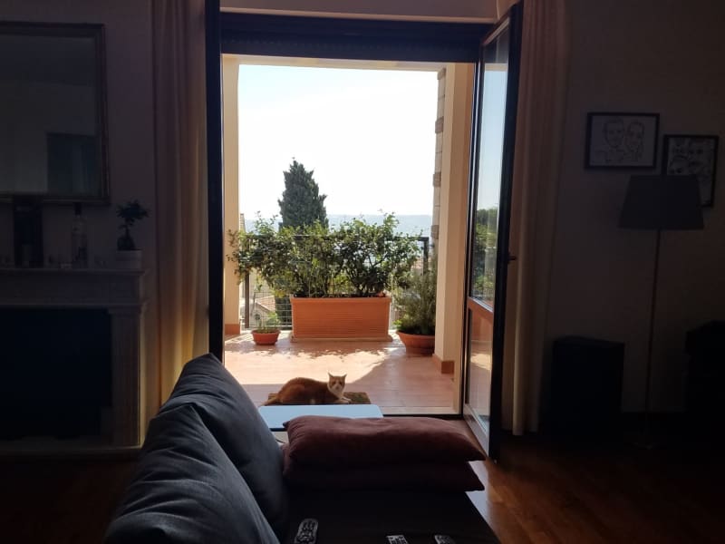 Housesitting assignment in Recanati, Italy