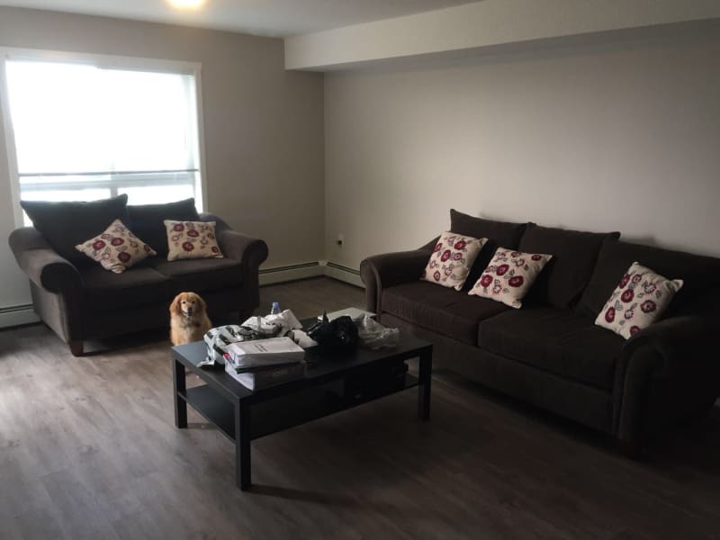Housesitting assignment in Airdrie, Alberta, Canada