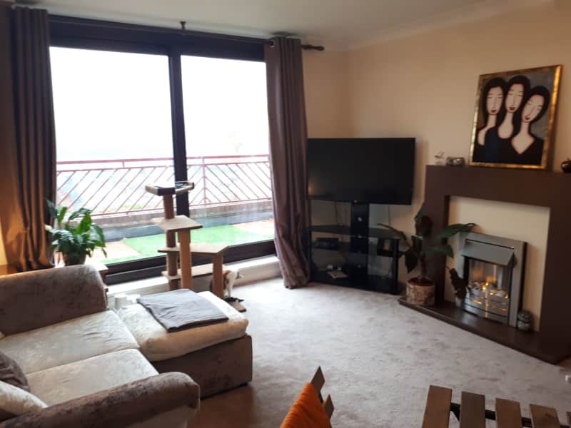 Housesitting assignment in High Wycombe, United Kingdom