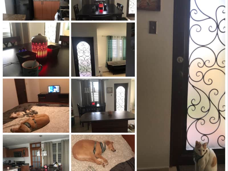 Housesitting assignment in Aguadilla, Puerto Rico