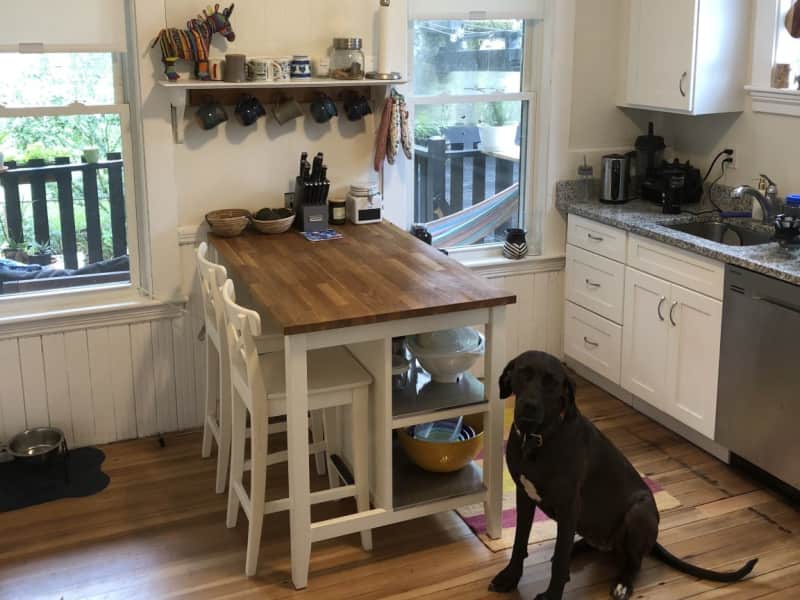 Housesitting assignment in Jamaica Plain, Massachusetts, United States